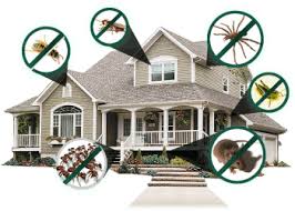 Clear your home from all pests